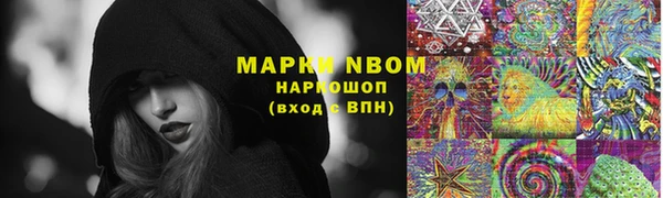 PSILOCYBIN Алексеевка