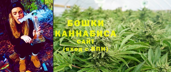 PSILOCYBIN Алексеевка