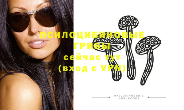 PSILOCYBIN Алексеевка