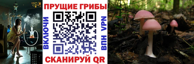 Псилоцибиновые грибы мухоморы  где купить наркоту  Феодосия 
